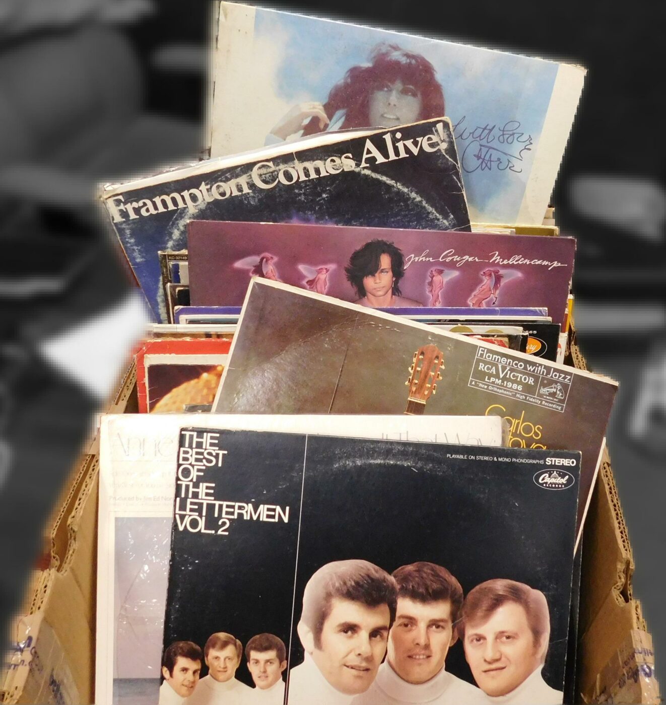 Vinyl Albums Found Gwinnett Thrift Store Lilburn Coop